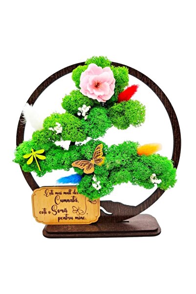 OEM Decorative Frame - Bonsai with Stabilized Lichens - Message for Sister-in-law, Wenge, 20cm