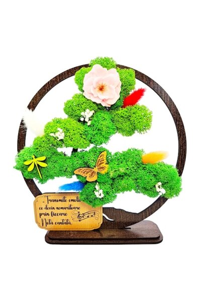 OEM Decorative Picture - Bonsai with Stabilized Moss and Decorative Accents, Wenge, 20cm