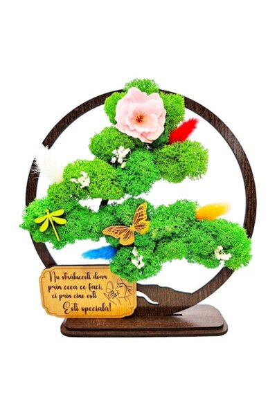 OEM Decorative Artwork - Bonsai with Stabilized Moss, 'You are special' message, Wenge 20cm
