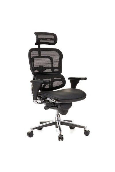 Ergohuman QMOBILI v1 Plus, Black - Genuine Leather Seat & Mesh Back