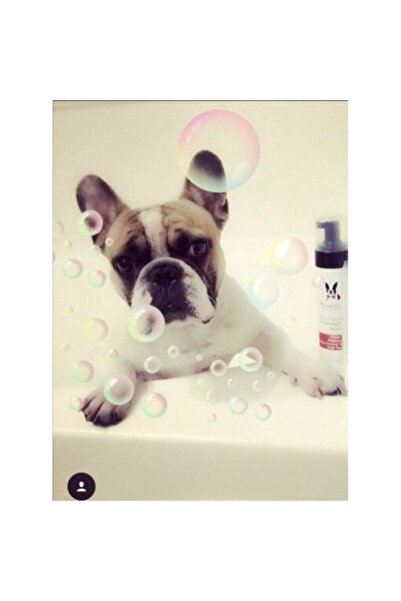 Warren London Spumă facială cu pepene galben și castravete