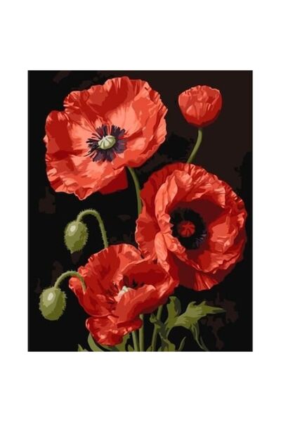 qbee Pictură pe numere - Maci roșii 40x50cm