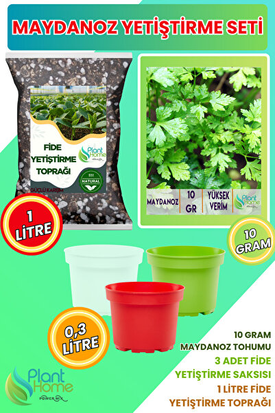 Plant Home Power Mix Maydanoz Yetiştirme Seti – Maydanoz Tohumu + Karışımloı ...