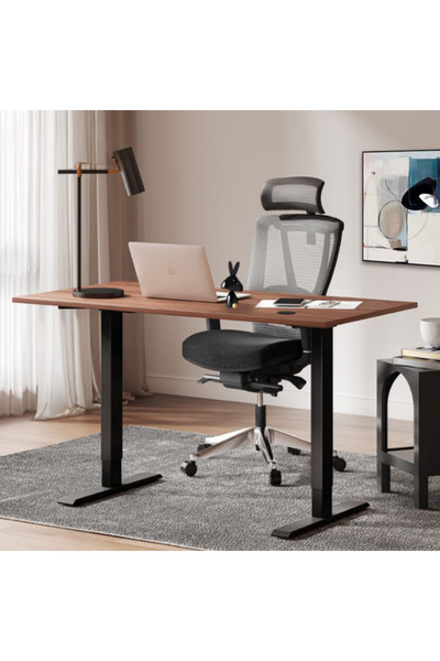 Eagle Epic Şeker Ofisi Elektrikli Yükseklik Ayarlı 2 Hafızalı Ergonomik Çalış...
