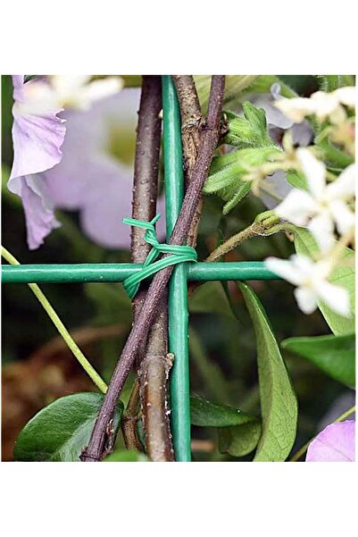 Generic أعواد زراعة خضراء، 200 قطعة، 15 سم