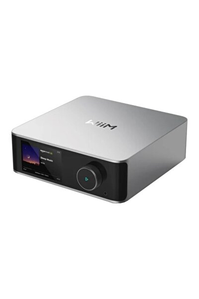 Other WiiM Ultra Silver Network Audio Streamer