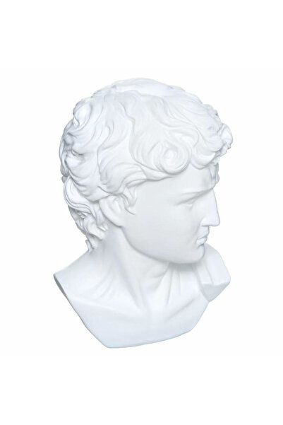 Other DECORAȚIUNE cap alb al lui David din plastic CLASIC