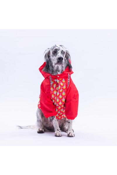 Pawstar Lisbon Sunset Red Rainbow Pattern Large Breed Dog Coat Dog Raincoat D...