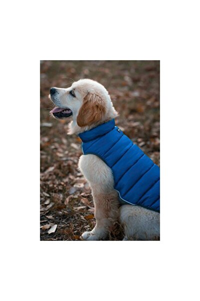 RedDingo Dog Coat Red Dingo Puffer Turquoise 30 cm