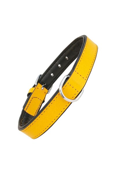 Gloria Zgardă pentru câini căptușită galbenă (30 x 1,5 cm)