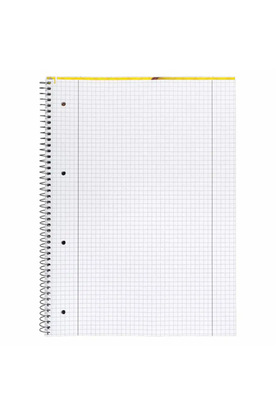 Idena Collegeblock A4, 80 pages, mathematics, spiral bound, tear-off and perforation system