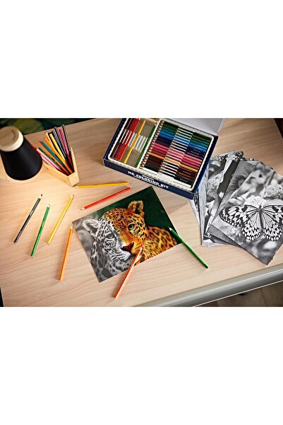 Crayola - HD Coloring Kit | 30 Colored Pencils & 20 Premium Coloring Pages