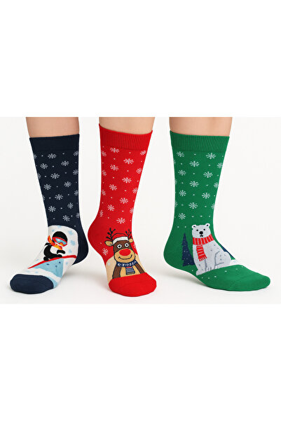 SOYTEMİZ Special New Year's Concept Socks Set of 3