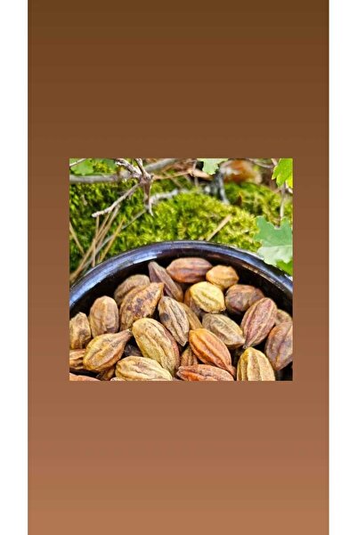 DOĞA BAHARAT ÜRÜNLERİ SARI HALİLE 50GR