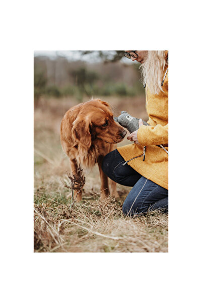 Hunter Jucărie de pluș pentru câini Ursuleț gri 100% reciclat