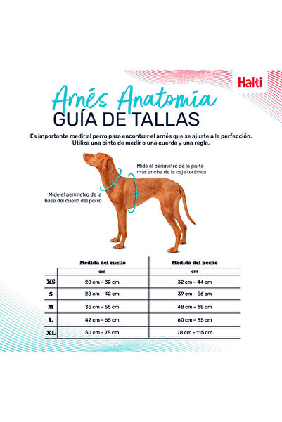 Company Of Animals Dog Harness Turquoise M 35-55 cm