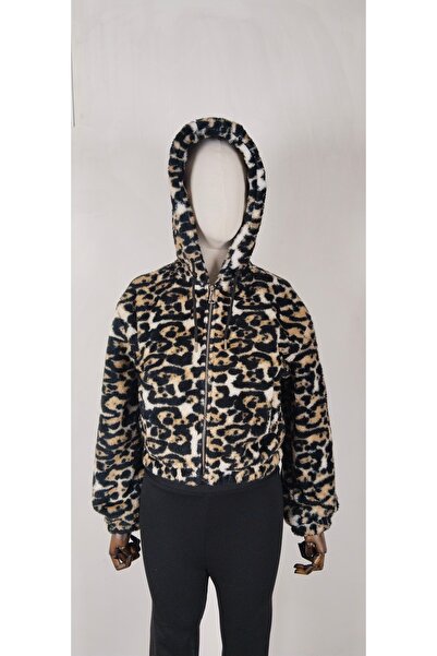 MODA بيلوس مونت