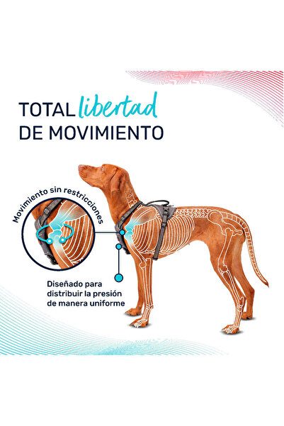 Company Of Animals Dog Harness Turquoise M 35-55 cm