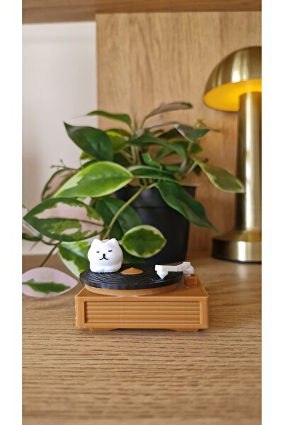 Lumoi Studio - Pikap Üstünde Kedi Biblo - Cat Record Player - Retro