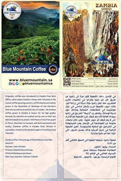 Blue Mountain Coffee قهوة محمصة كاتشيبابا زامبية - 250 جم