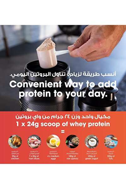 Optimum Nutrition Gold Standard 100% Whey Protein Powder, Double Rich Chocolate (1 lb.)