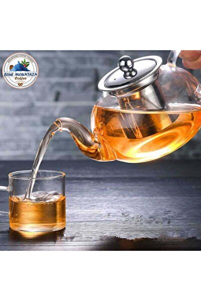 Blue mountain Glass Tea Pot 400 ml - with Stainless Steel Strainer