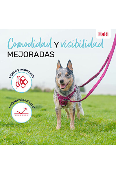 Company Of Animals Dog Lead Burgundy S