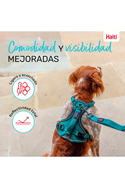 Company Of Animals Dog Harness Turquoise M 35-55 cm