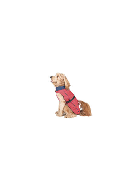 Dog Gone Smart Haină de ploaie pentru câini Coral 30 cm