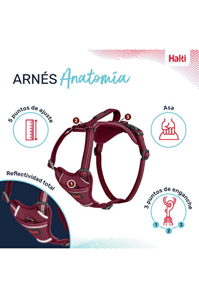 Company Of Animals Dog Harness Burgundy L 42-65 cm