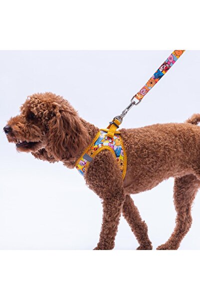 Pettrend Winnie Team Göğüs Tasması ve Sevk Kayışı Tasma Seti Winnie ve Arkadaşları Kedi Köpek Göğüs Tasması S