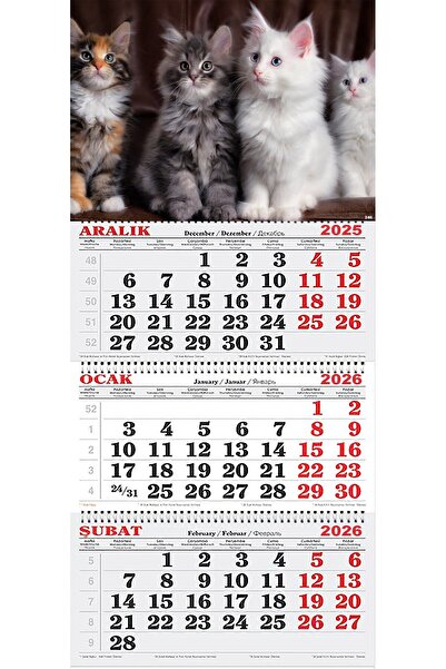 GENC DIJITAL BASKI 2026 Yılı Gemici Takvimi-Şaşkın Kediler
