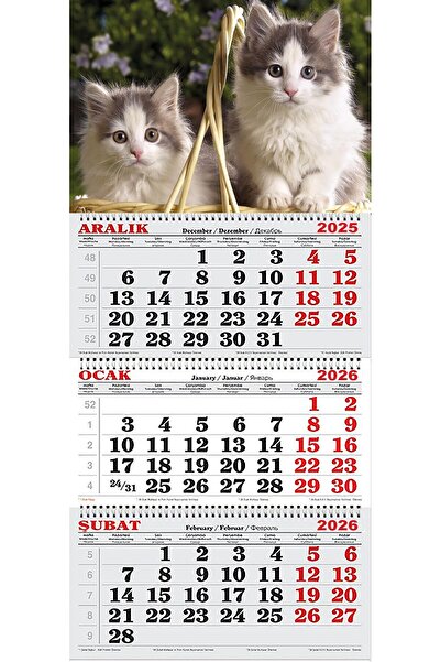 GENC DIJITAL BASKI 2026 Yılı Gemici Takvimi-Fotoğraf Çektiren Kediler
