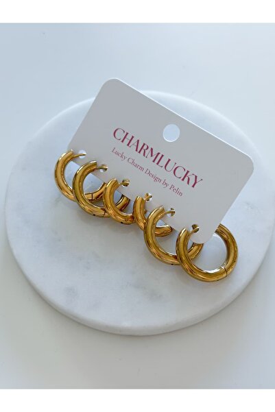 CHARMLUCKY Steel 6-Piece Basic Hoop Earring Set