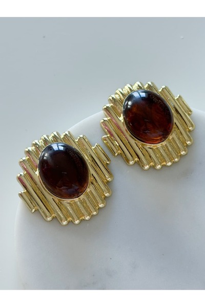 CHARMLUCKY Steel Leia Earrings