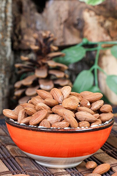 Öget شجرة المشمش في إرزينجان 500 جرام