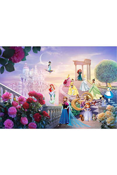 VIODESIGN Fototapet Copii, autoadeziv, Printese Disney , multicolor,120x200 cm CO431