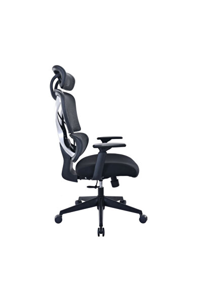 micasa High Back Ergonomic Mesh Office Chair with Wheels