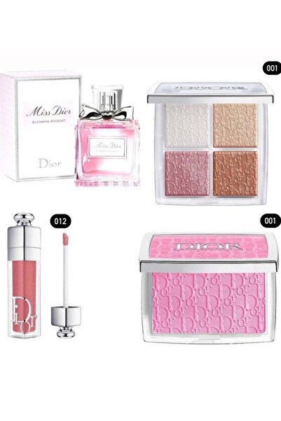 Dior Addict makeup collection
