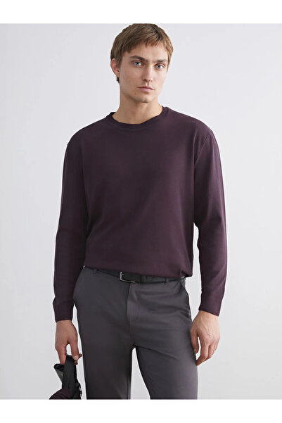 LC Waikiki Crew Neck Men's Knitwear Sweater