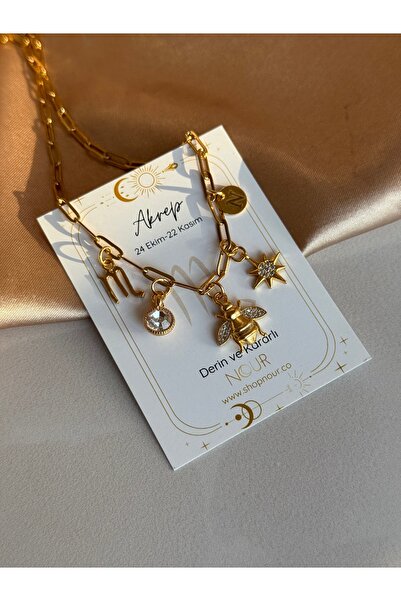Nour Co Burç Charm Kolye Arı Yıldız Burç Kartlı Kolye
