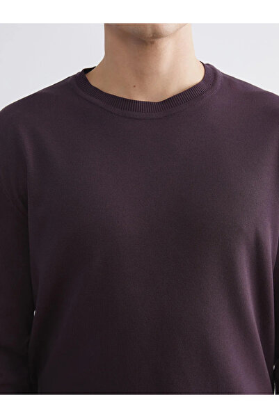 LC Waikiki Crew Neck Men's Knitwear Sweater