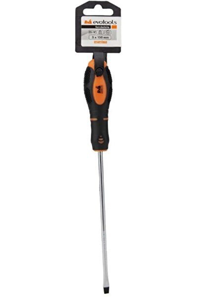 EvoTools Professional Κατσαβίδι ETP (-) 100 x 5 mm