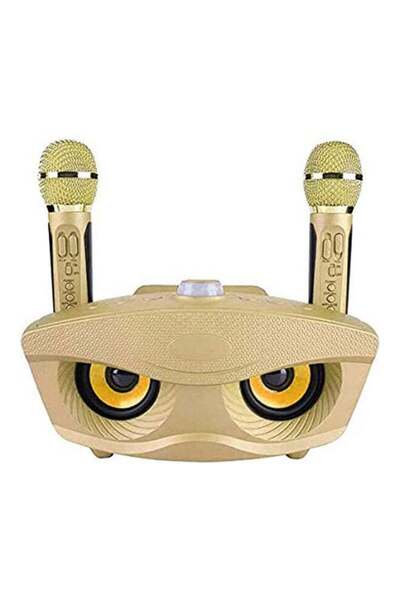 SDRD Portable Karaoke Machine Wireless Bluetooth Speaker with 2 Microphones (Gold)