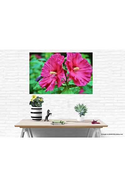 GGMag Tablouri Placi PVC personalizate 3 piese, Trandafir Japonez