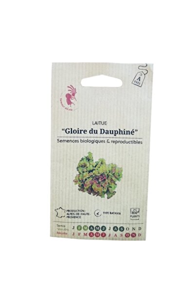 OEM Semințe de salată tradițională Lactuca sativa 'Gloria de Dauphine' - pole...