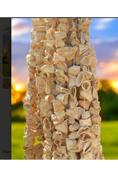 KuruOrganik Doğal güneşte kurutulmuş kabak45-(50) adet bir bağ