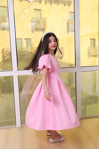 Generic Girls' dress featuring embroidery and pleats