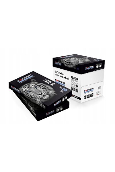 MSG PACKAGING Cutie 5 topuri Hartie copiator TIGER A4 80gsm (500 buc/top)