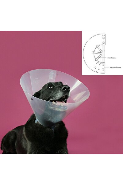 KVP Elizabethan Dog Collar Betsy Transparent (39-48 cm)